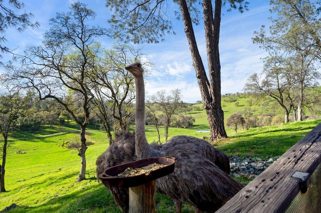 7270 Sutter Ione Rd, Ione, CA 95640