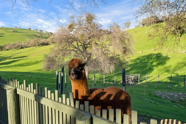 7270 Sutter Ione Rd, Ione, CA 95640