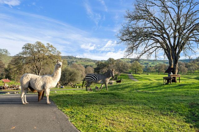 7270 Sutter Ione Rd, Ione, CA 95640