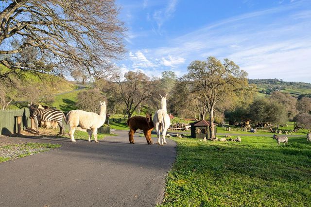 7270 Sutter Ione Rd, Ione, CA 95640