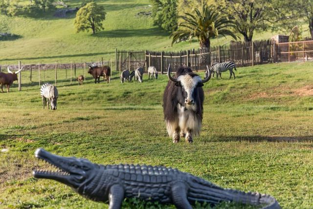 7270 Sutter Ione Rd, Ione, CA 95640