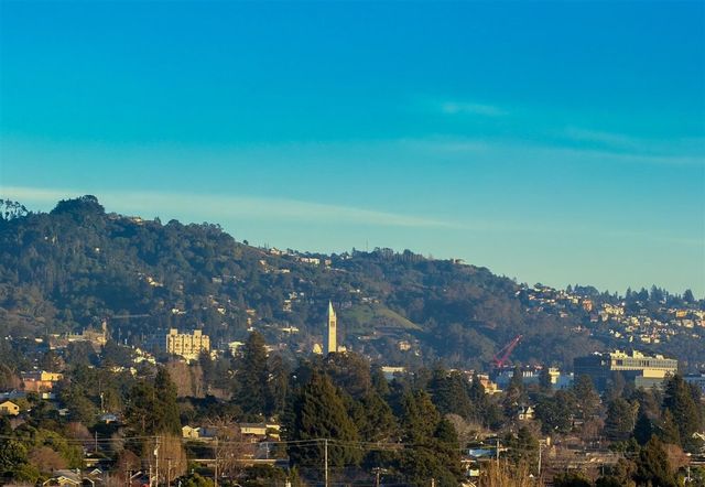 855 Solano Ave, Albany, CA 94706