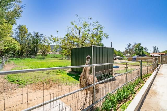 1023 Olive Avenue, Ramona, CA 92065