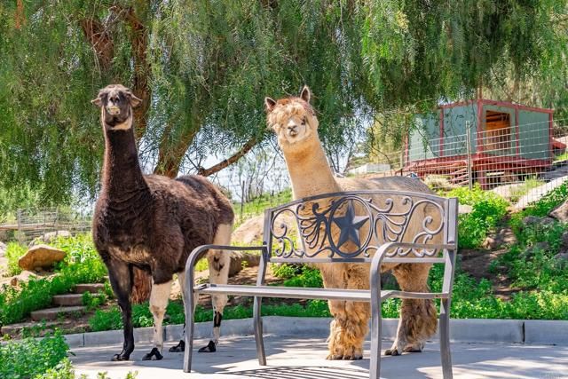 1023 Olive Avenue, Ramona, CA 92065