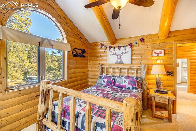 528 Mohawk Heights, Florissant, CO 80816