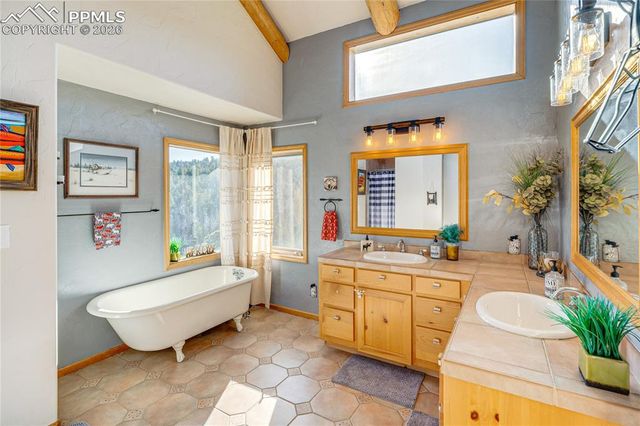 528 Mohawk Heights, Florissant, CO 80816