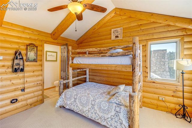 528 Mohawk Heights, Florissant, CO 80816