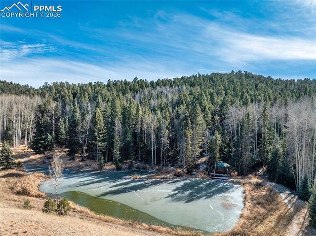 528 Mohawk Heights, Florissant, CO 80816