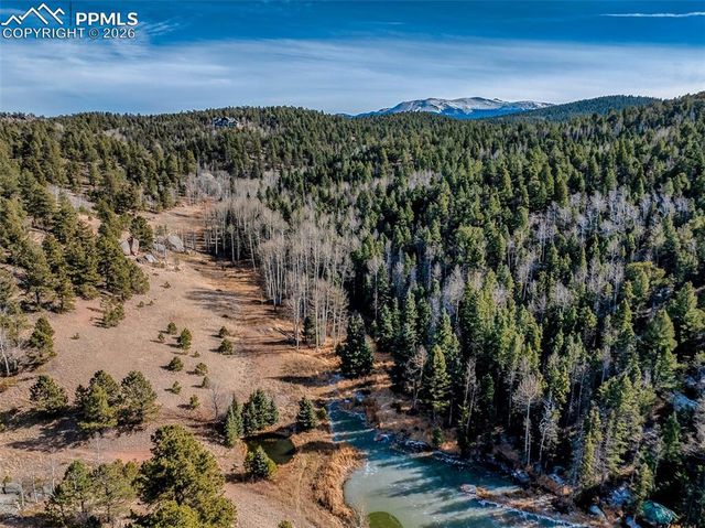 528 Mohawk Heights, Florissant, CO 80816