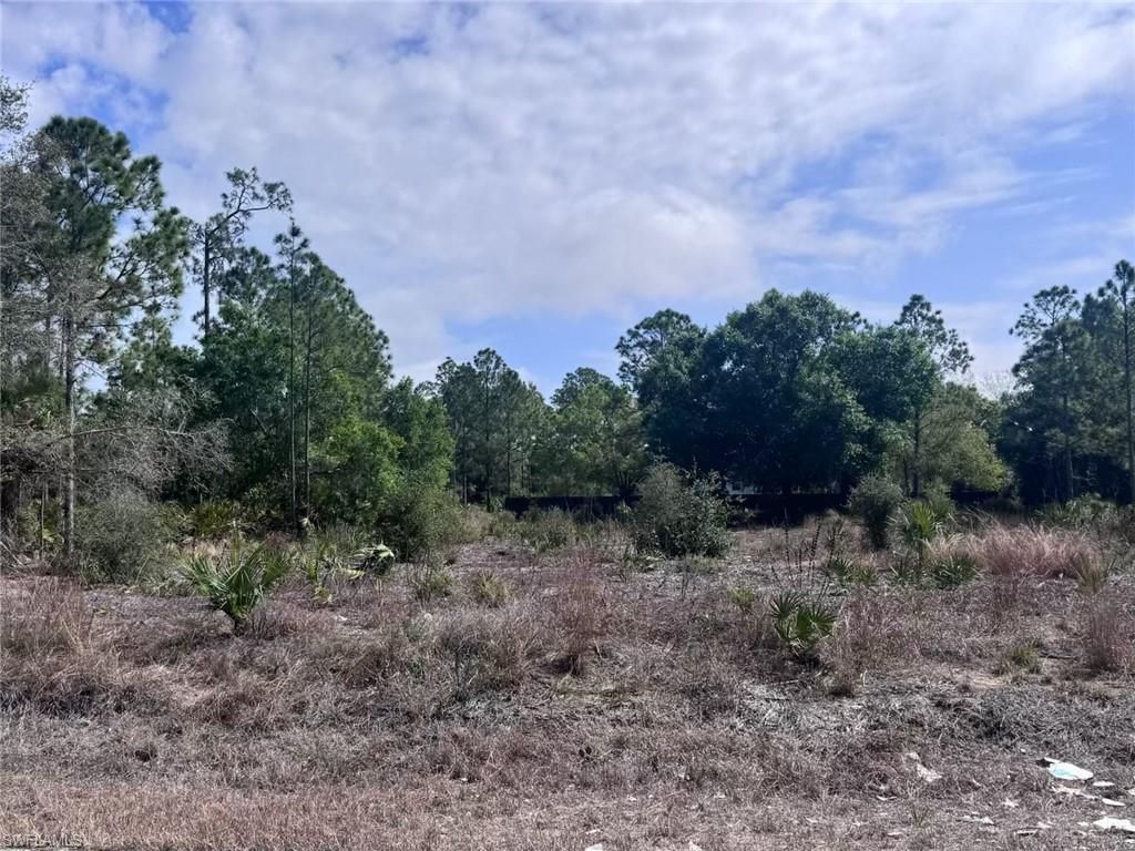 618 Leroy AVE, LEHIGH ACRES, FL 33972 — photo 2