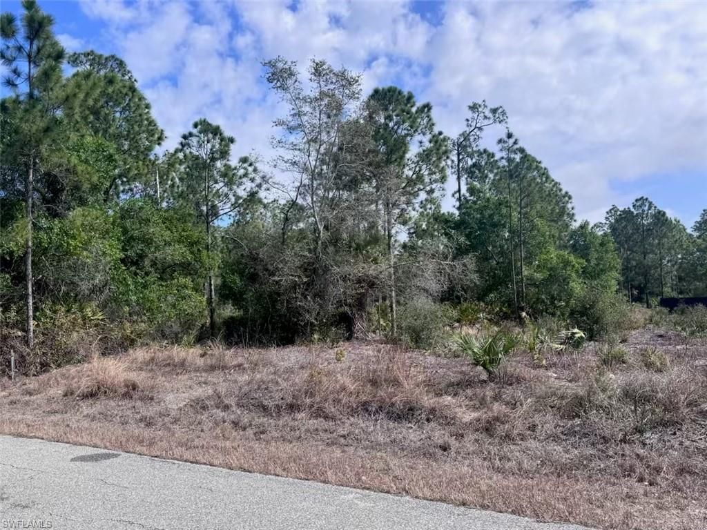 618 Leroy AVE, LEHIGH ACRES, FL 33972 — photo 3