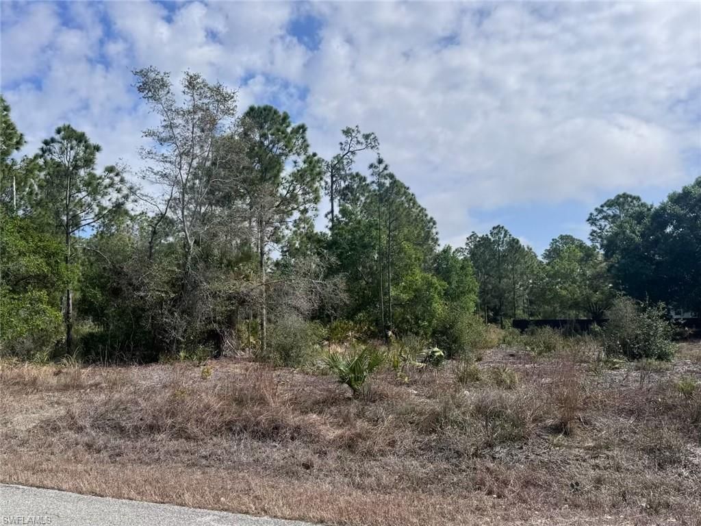 618 Leroy AVE, LEHIGH ACRES, FL 33972 — photo 4
