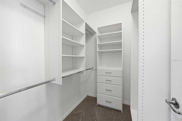 13230 GRAHAM YARDEN DRIVE, Riverview, FL 33579