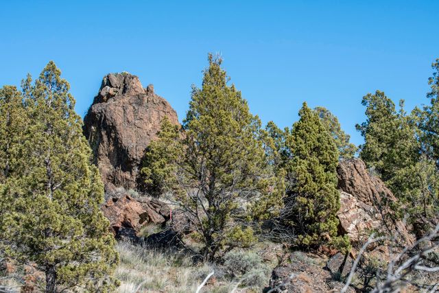9868 SE Pavati Drive, Prineville, OR 97754