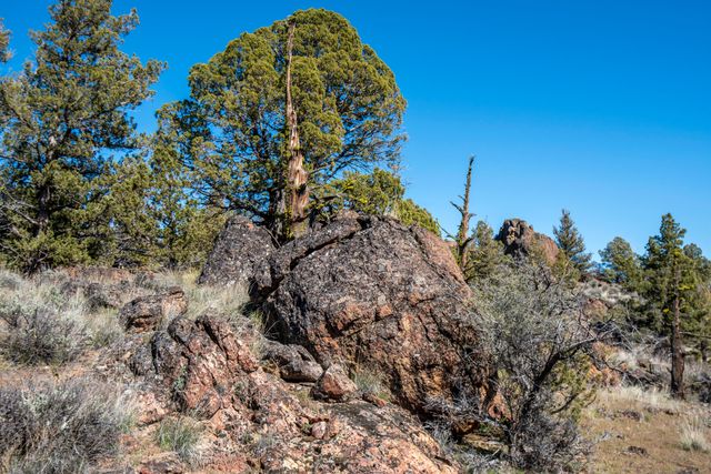 9868 SE Pavati Drive, Prineville, OR 97754