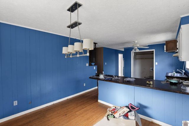 143 McCullum, Ledbetter, KY 42058