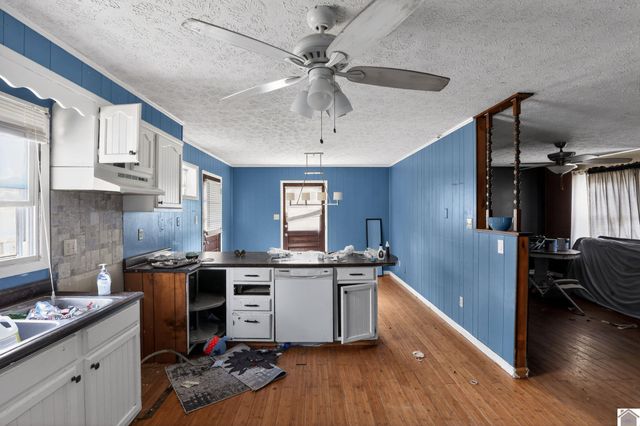 143 McCullum, Ledbetter, KY 42058