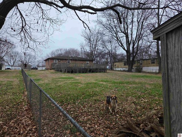 143 McCullum, Ledbetter, KY 42058