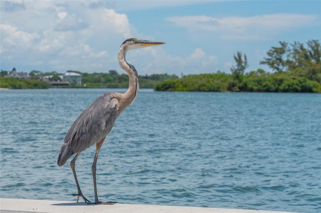 525 CHANNEL LANE, Longboat Key, FL 34228