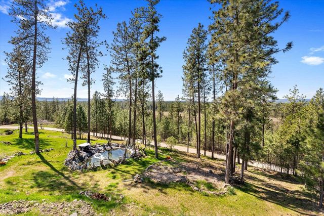 5521C Happy Hill Rd, Tumtum, WA 99034