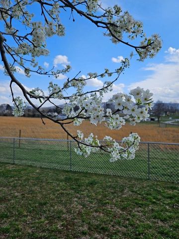 568 Brock Ln, Sparta, TN 38583