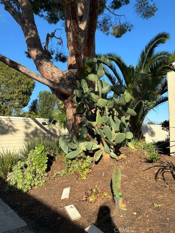 2091 Ronda Granada D, Laguna Woods, CA 92637