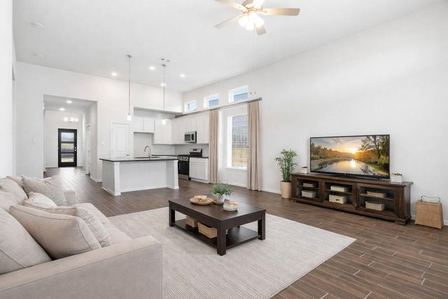 31015 Peck Pass Drive, Waller, TX 77484