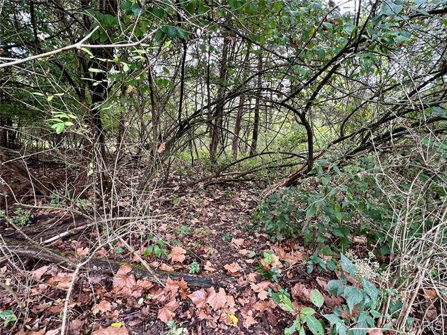 TBD Shady Lane, Rolla, MO 65401