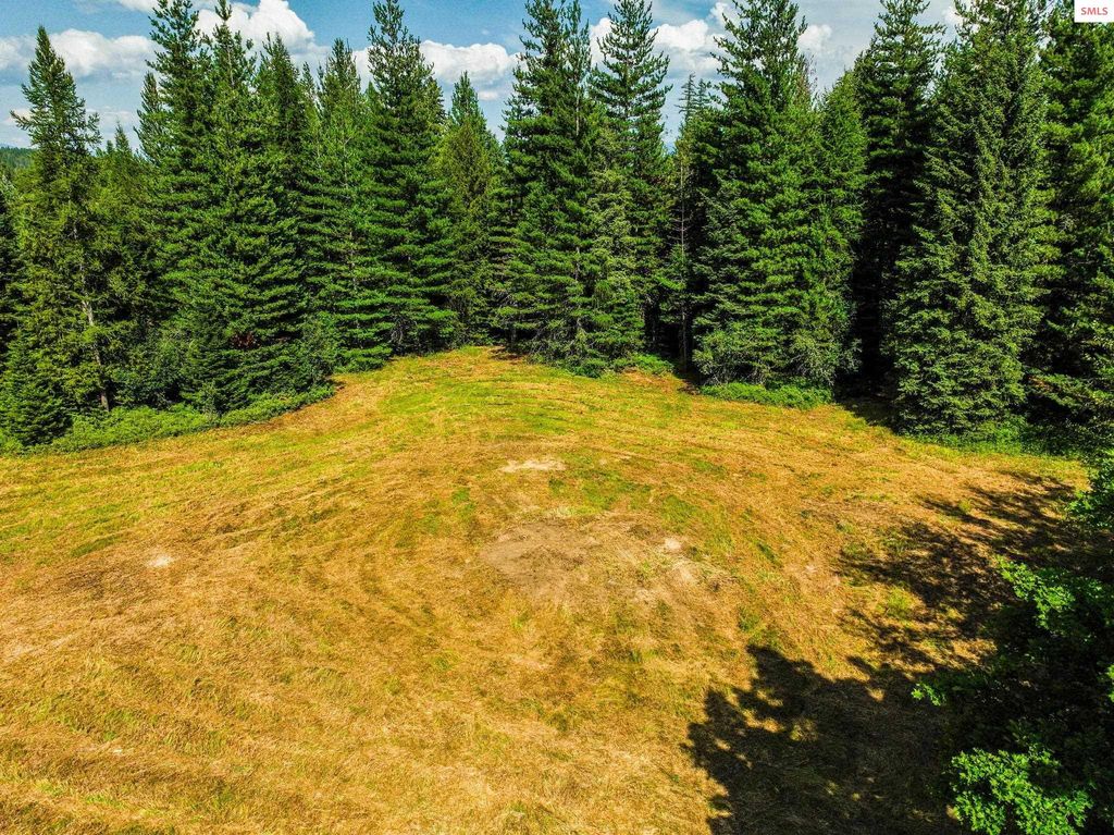 477545 US-95, Ponderay, ID 83852 photo 17