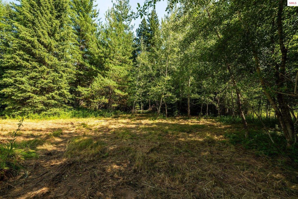 477545 US-95, Ponderay, ID 83852 photo 34