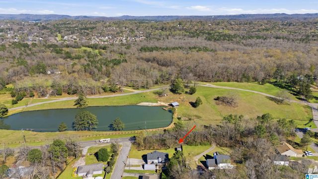 201 CLOVERLEAF CIRCLE, Helena, AL 35080