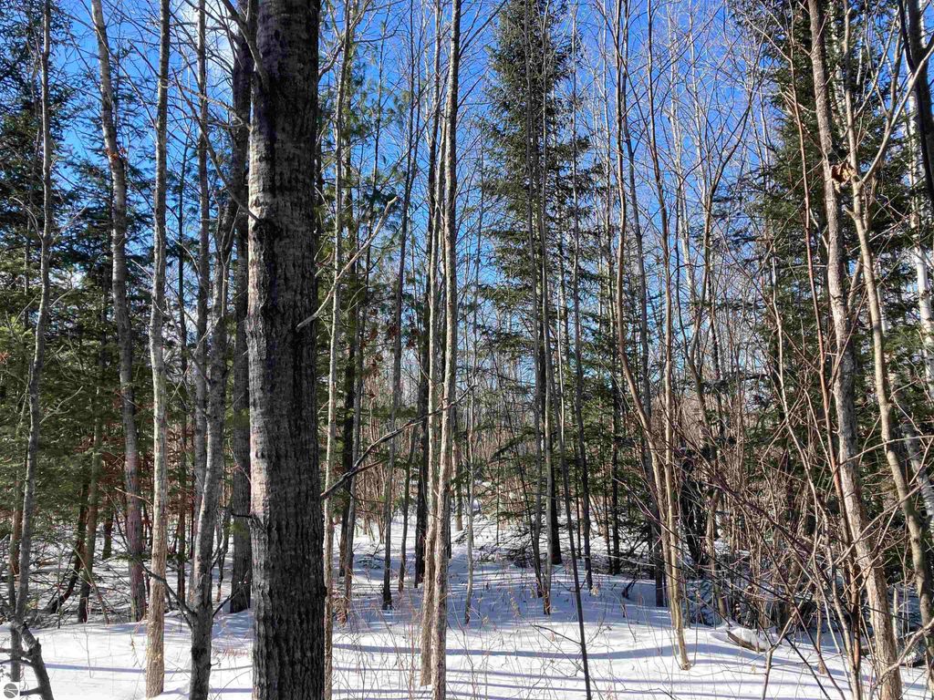 Image 1 of property listing at 00 W Miller Road, Mio, MI 49647