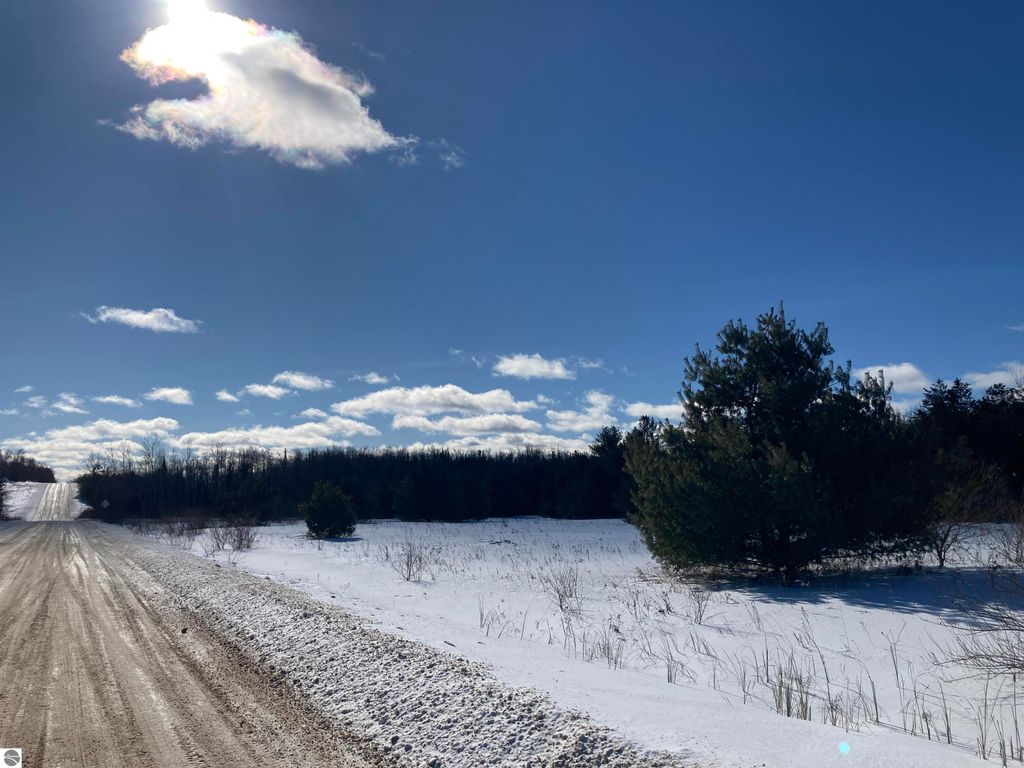 Image 10 of property listing at 00 W Miller Road, Mio, MI 49647