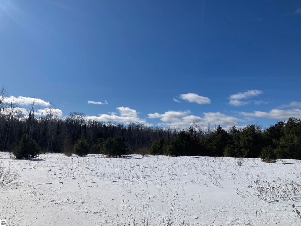 Image 11 of property listing at 00 W Miller Road, Mio, MI 49647