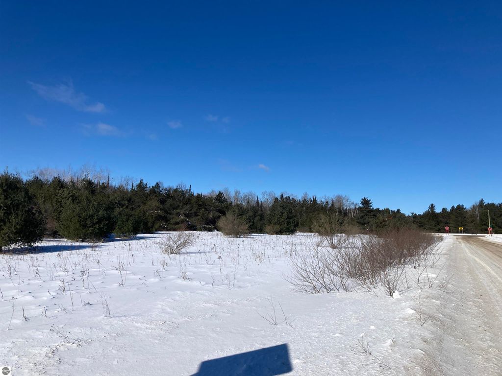 Image 12 of property listing at 00 W Miller Road, Mio, MI 49647