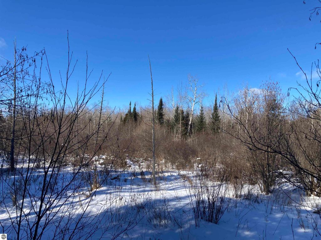 Image 13 of property listing at 00 W Miller Road, Mio, MI 49647