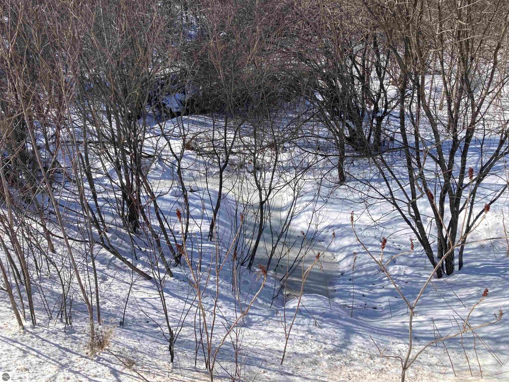 Image 14 of property listing at 00 W Miller Road, Mio, MI 49647