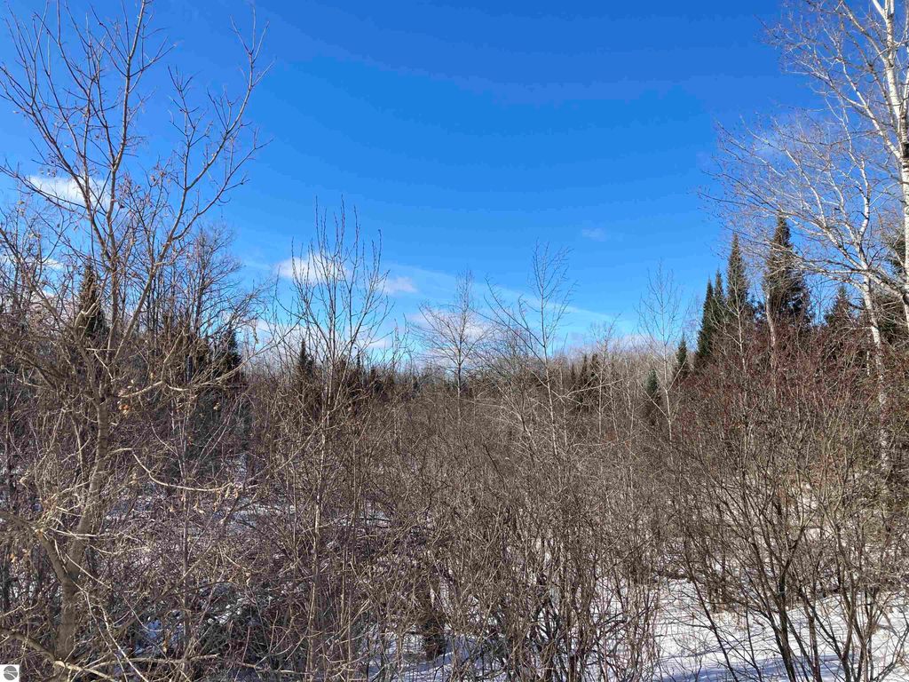 Image 15 of property listing at 00 W Miller Road, Mio, MI 49647