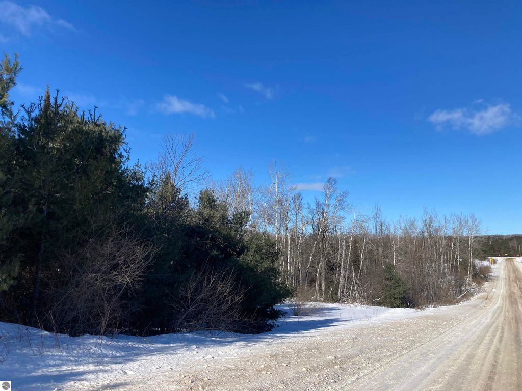 Image 16 of property listing at 00 W Miller Road, Mio, MI 49647