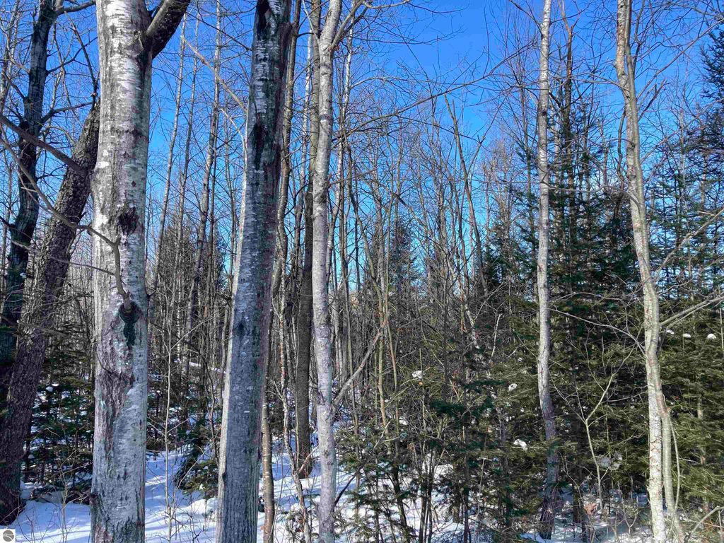 Image 17 of property listing at 00 W Miller Road, Mio, MI 49647