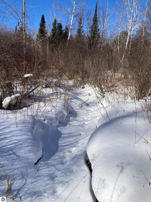 Image 18 of property listing at 00 W Miller Road, Mio, MI 49647