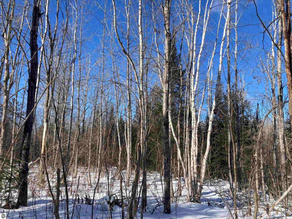 Image 19 of property listing at 00 W Miller Road, Mio, MI 49647