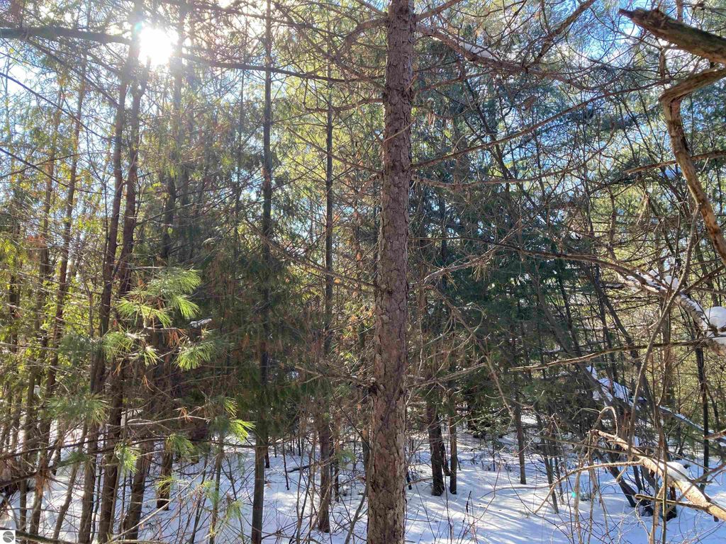 Image 20 of property listing at 00 W Miller Road, Mio, MI 49647