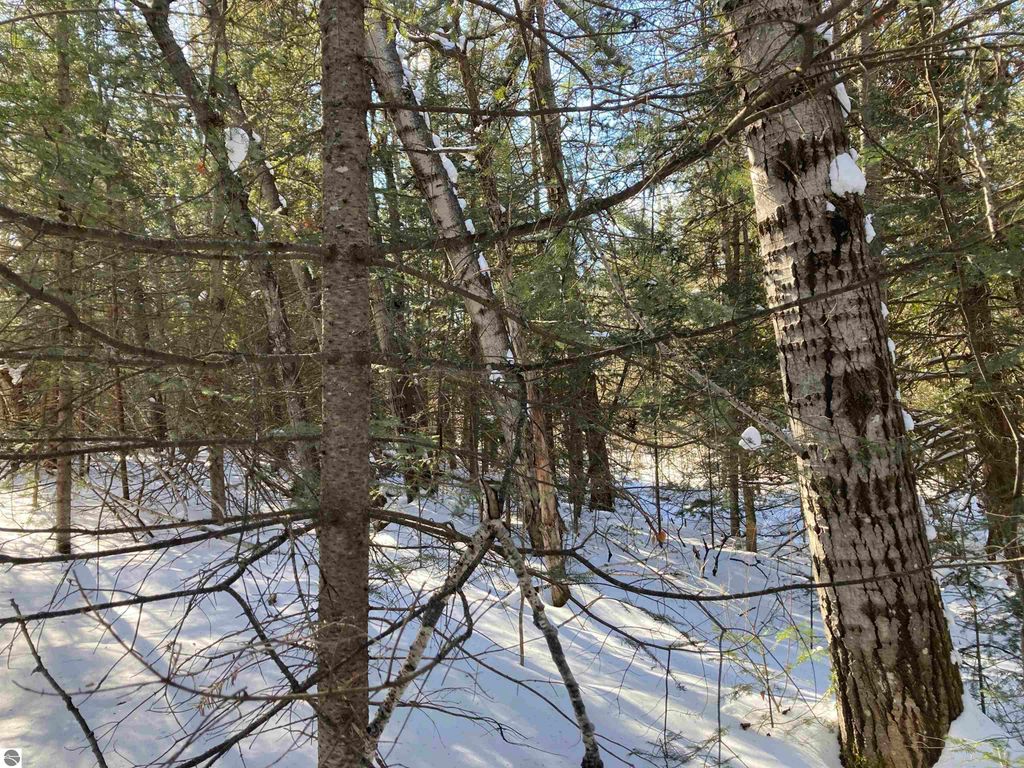 Image 21 of property listing at 00 W Miller Road, Mio, MI 49647