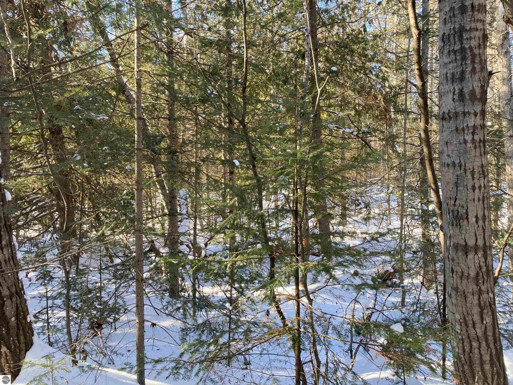 Image 22 of property listing at 00 W Miller Road, Mio, MI 49647