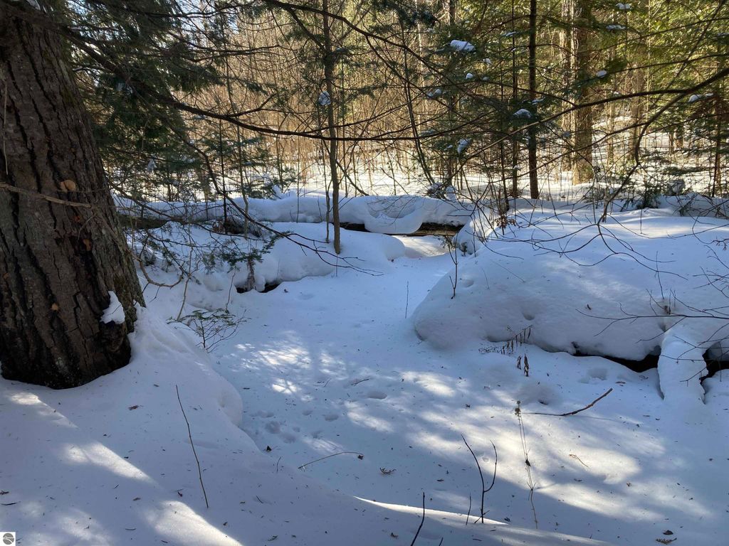 Image 23 of property listing at 00 W Miller Road, Mio, MI 49647