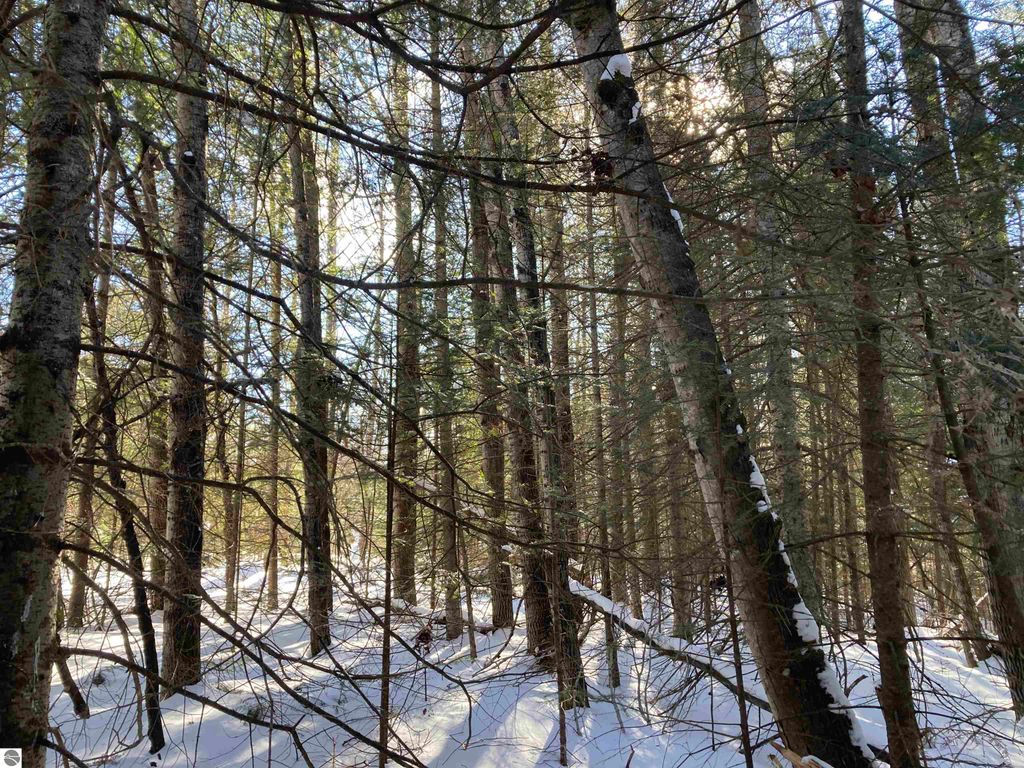 Image 24 of property listing at 00 W Miller Road, Mio, MI 49647