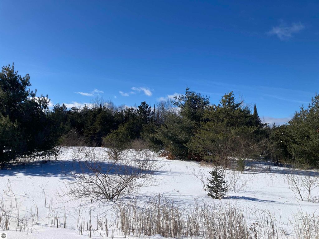 Image 3 of property listing at 00 W Miller Road, Mio, MI 49647