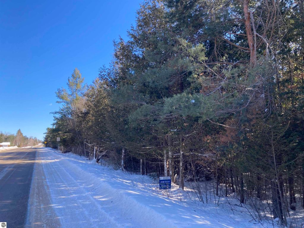 Image 4 of property listing at 00 W Miller Road, Mio, MI 49647