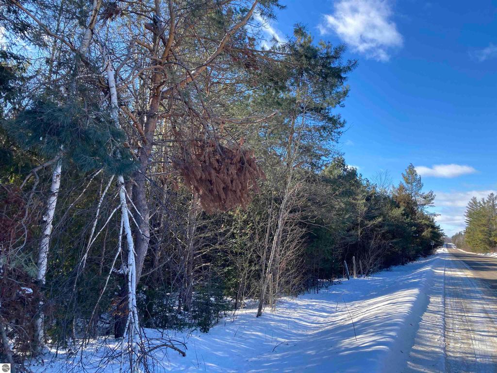 Image 5 of property listing at 00 W Miller Road, Mio, MI 49647